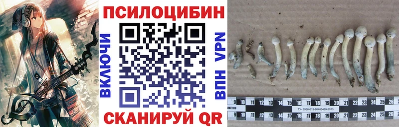 Псилоцибиновые грибы ЛСД  как найти закладки  Алзамай 